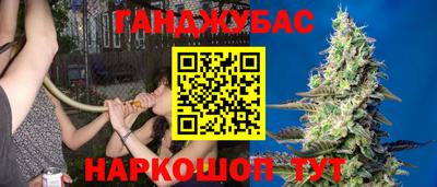 дмт Кинель