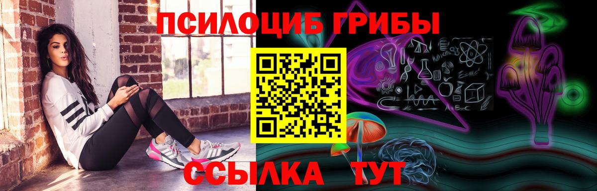 Псилоцибиновые грибы Psilocybe  Вход с VPN  Кудымкар 